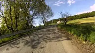 Cesta Lesem