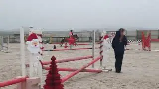 Thaïs et Isidor 80 cm fête de Noël écurie de la fourerie 13 décembre 2025