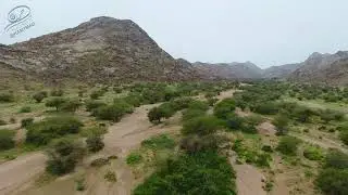 ربيع الحصاة جنوب القويعية يوم 5  شوال 1444