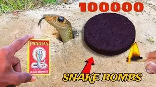 आप देख कर चौक जाएंगे जब 2000  SNAKE BOMBS 🔥  ( सांप की गोलियों को एक साथ जलाया जाता है