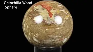 Chinchilla Wood Sphere 309221