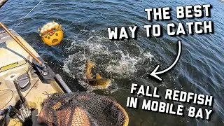 The BEST WAY TO CATCH FALL REDFISH | Sight Fishing Redfish