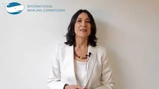 IWC video - Message InforMEA