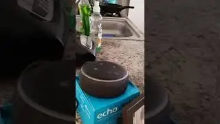 Alexa no se conecta internet p