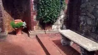 Empire Mine State Historic Park- Wedding Location