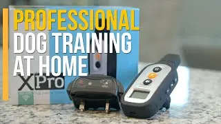 Dog training at home! How to choose a dog training collar? PetSpy XPro e-collar with remote