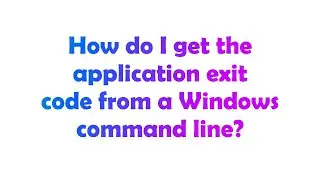 How do I get the application exit code from a Windows command line?