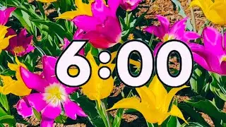 6 Minute Spring Countdown Timer With Music - Spring Flowers