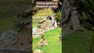 Cactus garden @ Botanical gardens