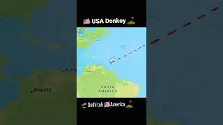 Delhi to america #america#donkey#dollar like‼️share‼️ subscribe ‼️