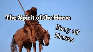 They Called It the Wind with Hooves