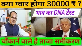 क्या ग्वार होगा 30000 ₹  पार ? ताजा रिर्पोट ! ताजा समीकरणLive.#gwarkemandibhav 