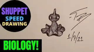 SHUPPET BIOLOGY! POKEMON SPEED DRAWING! How to draw the ghost Pokemon Shuppet in pen! FREE CODES!