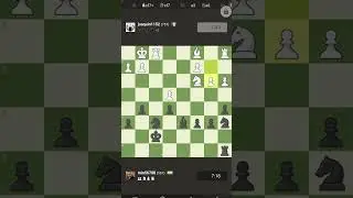 #chess2023 ✨🦋🖤