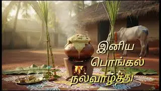 pongal o pongal || pongal celebration || pongal wishes whatsapp status