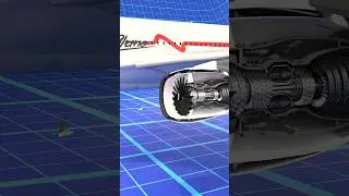 Why Bird Strikes Can Destroy Jet Engines | Shocking Aviation Facts