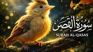 سورة القصص | Surah Al-Qasas — تلاوة خاشعة مؤثرة تهز القلوب 🤍