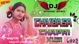 New_Munda_Trinding_Song || Chaibasa Chapri Kudi || Dj Dising Babu || Bishwa Babu | Gitilpee Latarsai