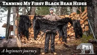 Tanning My First Black Bear Hide &ndash; A Total Beginner's Journey!