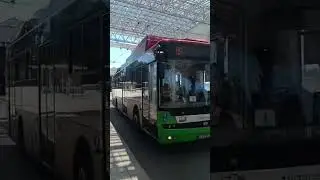 154 Weglin nr. taborowy 3897 złoty Ursus