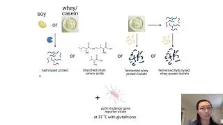 Antivirulence properties of protein hydrolysates against Listeria monocytogenes