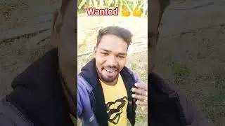wanted me name ge 💪💪 #shortsfeed #song #shortvideos #bhojpuri #comedyvideos #shorts #viralshort