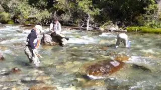 2011 - CABIN Sampling - 40 Mile Creek