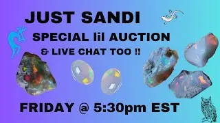 LIVE AUCTION with JUST SANDI MOVED TO 7pm EST