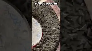 Vibratory Tumbling - Deburring with Ceramic Media - Rodeco