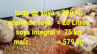 FORMULA DE ALIMENTO BALANCEADO - POLLO DE ENGORDE - ETAPA DE INICIO