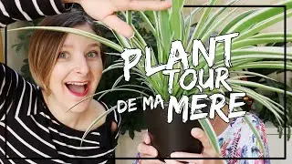 Plant Tour de ma mère 2020 🌿🌵🏠👩‍👧 +40 plantes vertes #urbanjungle