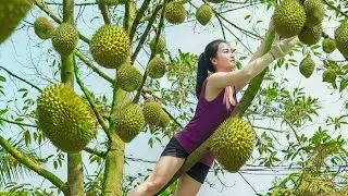 Full Video: 60 Days of Harvesting Durian and Vegetables for the Market | Emma Daily Life