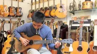 Viennese Guitar in the Style of Stauffer at Retrofret