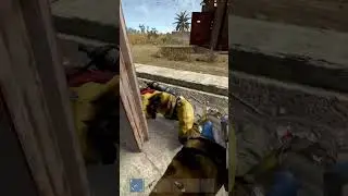 1v4 Dome