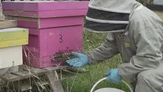 Lecarrow beekeeper Joe Connaughton supporting Climate Action Roscommon.