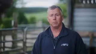 Heat Detection in Jersey Heifers - Allflex SenseHub Customer Testimonial