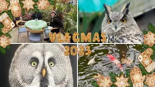 Leaving Haven Seashore & Fritton Owl Sanctuary | Vlogmas day 22