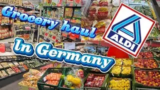 Aldi Grocery Haul Family of 9|Aldi Grocery shopping in Germany 🇩🇪 | Price 2025