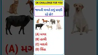 General Knowledge 2024 || gk in gujarati || general knowledge #gk #gkgujarati #gujarati