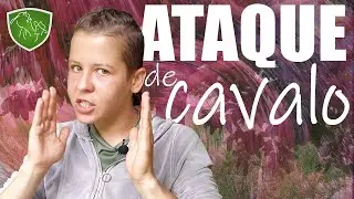 Quando cavalos ATACAM!  Agressividade em cavalos.