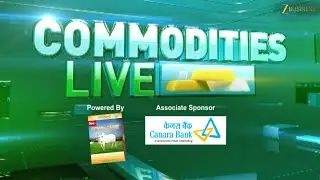 Commodity Live | Gold Market Update: Rates Drop, Will Gold Rally Continue?