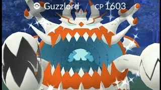Grinding the #PokemonGo #halloween event walking my dog and hunting shinies ✨ CHAT ASK TO NAME SHINY