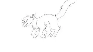cat running cycle