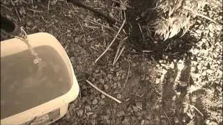 The Gardener's Secret Natural Organic Abundant Free Fertilizer Part 2 (B&W)