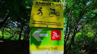 Maxxis High Roller (3) auf den Hometrails pt2: Sauberg Trail komplett 29.04.25