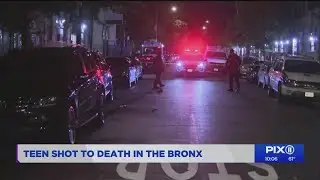 Teen shot to death in the Bronx: NYPD