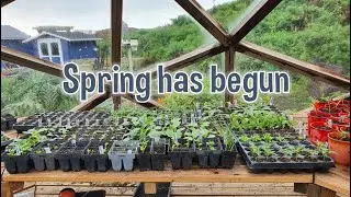 Spring Has Begun