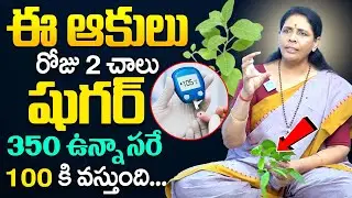 ఇవి రోజు 2 ఆకులు చాలు || Diabetes Control Leaves | Bilva Patra | #diabetes | Aruna Devi | iDream