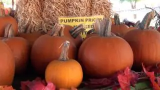 Tolmachoff Farms