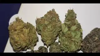 Cali Weed and haze